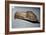 Nootka Eagle Mask, Pacific Northwest Coast, North American Indian-Unknown-Framed Giclee Print