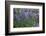 Nootka lupin, Iceland-Robin Chittenden-Framed Photographic Print