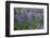 Nootka lupin, Iceland-Robin Chittenden-Framed Photographic Print