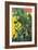 Nopal Cactus in Teotihuacan, 2001-Pedro Diego Alvarado-Framed Giclee Print