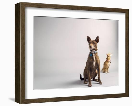 Nope-Susan Sabo-Framed Photographic Print