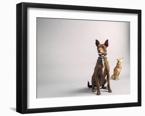 Nope-Susan Sabo-Framed Photographic Print