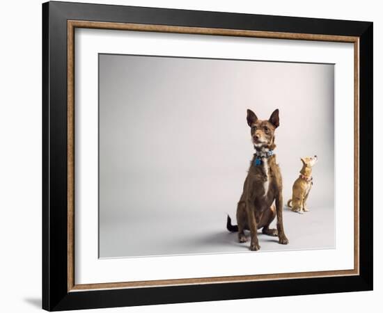 Nope-Susan Sabo-Framed Photographic Print