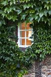 House, Detail, Window, Covered-Nora Frei-Framed Photographic Print