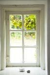 Window, Vine Leaves, Transom Window, Plants-Nora Frei-Photographic Print