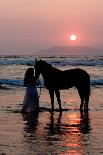 Girl with a Horse in the Water at Sunset-Nora Hernandez-Photographic Print