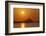 Nora Sunrise over Harbour, Near Pula, Cagliari Province, Sardinia, Italy, Mediterranean, Europe-John Miller-Framed Photographic Print