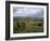 Norber Erratics Near Austwick, Yorkshire Dales National Park, Yorkshire, England, UK-Patrick Dieudonne-Framed Photographic Print