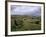 Norber Erratics Near Austwick, Yorkshire Dales National Park, Yorkshire, England, UK-Patrick Dieudonne-Framed Photographic Print