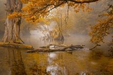 November Morning-Norbert Maier-Photographic Print