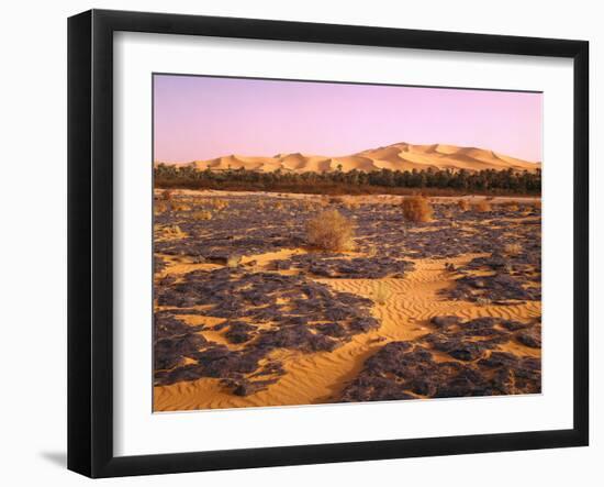 Nordafrika, Sahara, Saoura-Tal, Kalkstein, Vegetation, Sanddv¼nen, Wv¼ste-Thonig-Framed Photographic Print