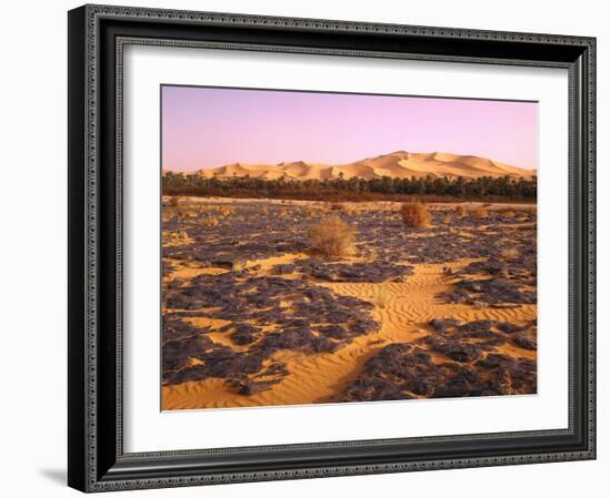 Nordafrika, Sahara, Saoura-Tal, Kalkstein, Vegetation, Sanddv¼nen, Wv¼ste-Thonig-Framed Photographic Print