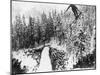 Nordal Kaldahl of Canada Won the Northwest Ski Jumping Championship, at Big Hill, Cascade Mountains-null-Mounted Photo