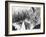 Nordal Kaldahl of Canada Won the Northwest Ski Jumping Championship, at Big Hill, Cascade Mountains-null-Framed Photo