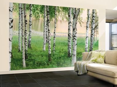 Nordic Forest Wall Mural Wallpaper Mural Art Com