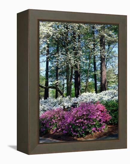 Norfolk Botanical Gardens, VA-Barry Winiker-Framed Premier Image Canvas