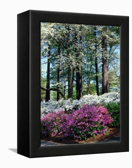 Norfolk Botanical Gardens, VA-Barry Winiker-Framed Premier Image Canvas