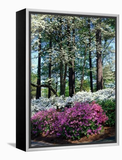 Norfolk Botanical Gardens, VA-Barry Winiker-Framed Premier Image Canvas