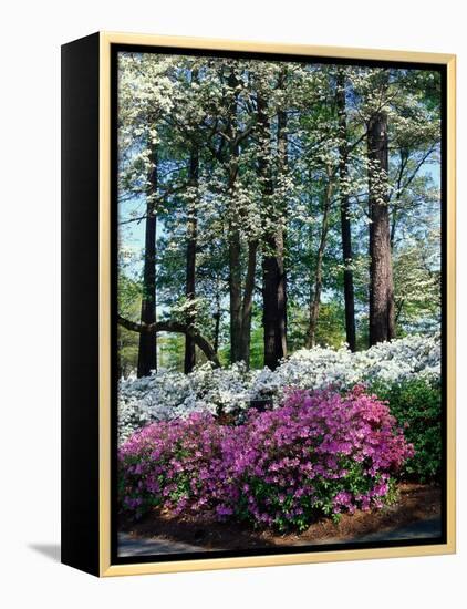 Norfolk Botanical Gardens, VA-Barry Winiker-Framed Premier Image Canvas