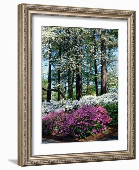 Norfolk Botanical Gardens, VA-Barry Winiker-Framed Photographic Print