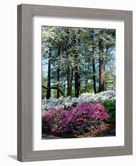 Norfolk Botanical Gardens, VA-Barry Winiker-Framed Photographic Print