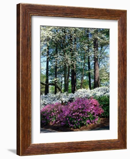 Norfolk Botanical Gardens, VA-Barry Winiker-Framed Photographic Print