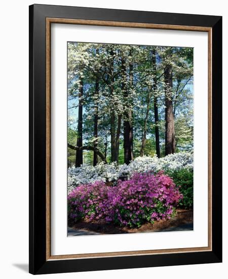 Norfolk Botanical Gardens, VA-Barry Winiker-Framed Photographic Print