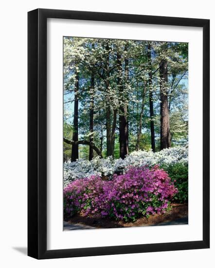 Norfolk Botanical Gardens, VA-Barry Winiker-Framed Photographic Print
