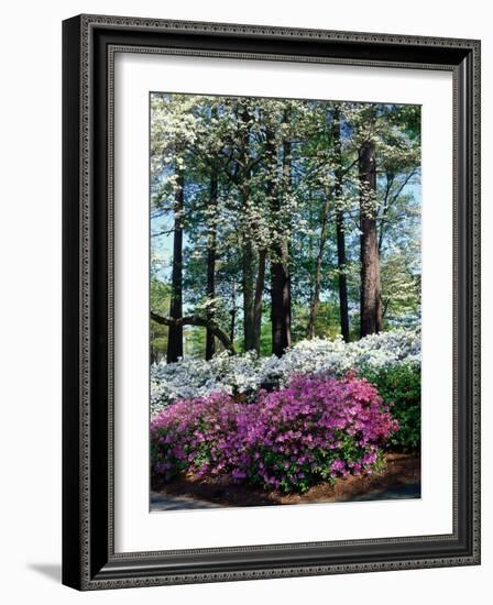 Norfolk Botanical Gardens, VA-Barry Winiker-Framed Photographic Print