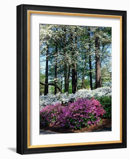 Norfolk Botanical Gardens, VA-Barry Winiker-Framed Photographic Print