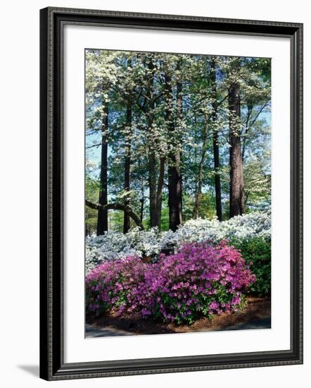 Norfolk Botanical Gardens, VA-Barry Winiker-Framed Photographic Print