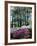 Norfolk Botanical Gardens, VA-Barry Winiker-Framed Photographic Print