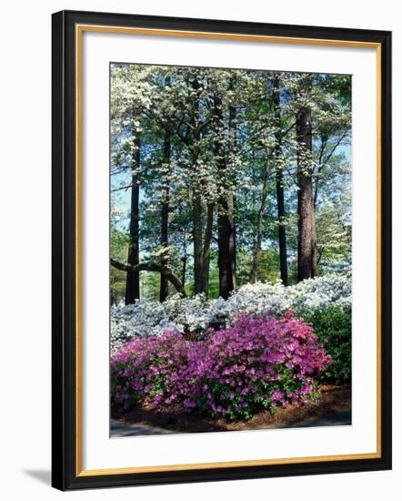 Norfolk Botanical Gardens, VA-Barry Winiker-Framed Photographic Print