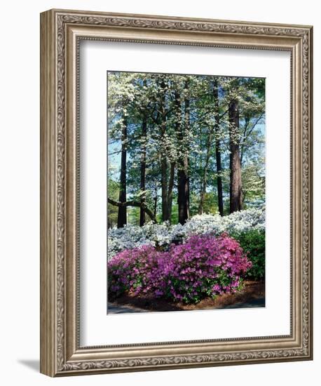 Norfolk Botanical Gardens, VA-Barry Winiker-Framed Photographic Print