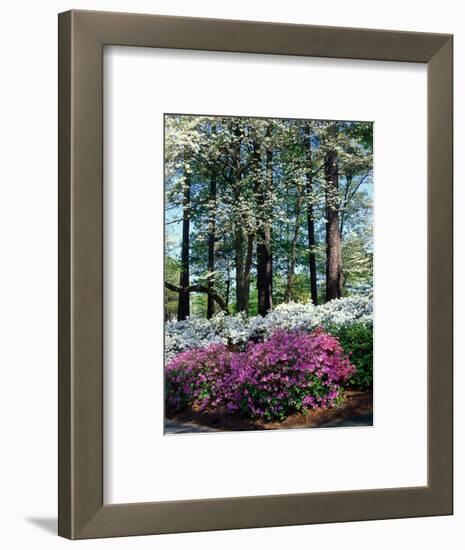 Norfolk Botanical Gardens, VA-Barry Winiker-Framed Photographic Print