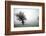 Norfolk field with single tree-Angela Marsh-Framed Photographic Print