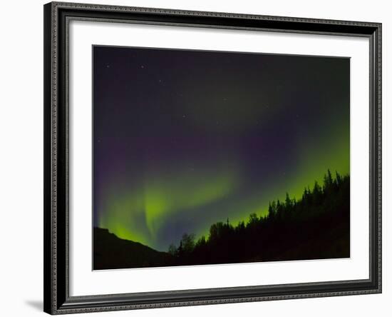 Norhtern Lights With Big Dipper, Denali National Park, Alaska, USA-Terry Eggers-Framed Photographic Print