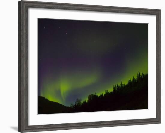 Norhtern Lights With Big Dipper, Denali National Park, Alaska, USA-Terry Eggers-Framed Photographic Print