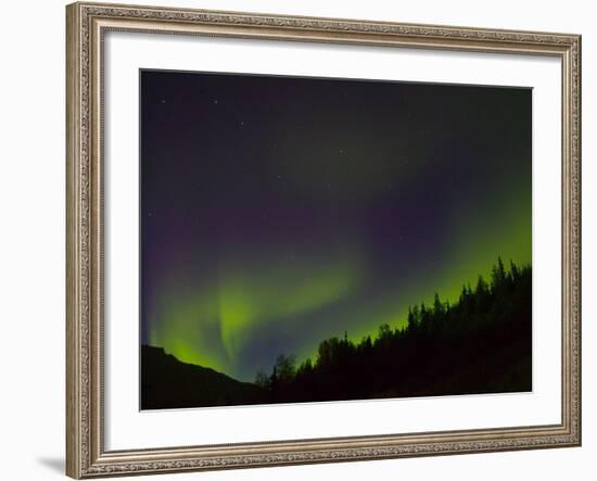 Norhtern Lights With Big Dipper, Denali National Park, Alaska, USA-Terry Eggers-Framed Photographic Print