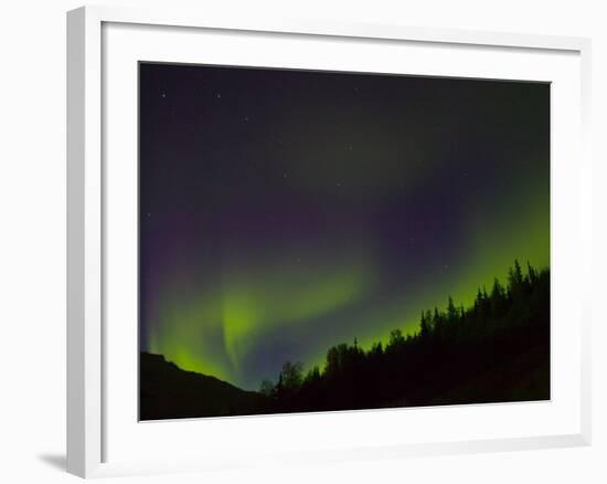 Norhtern Lights With Big Dipper, Denali National Park, Alaska, USA-Terry Eggers-Framed Photographic Print