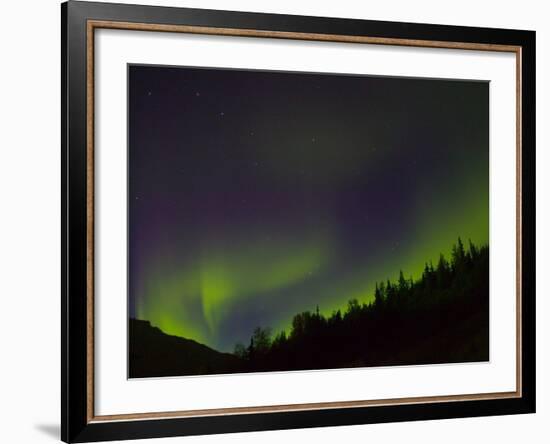 Norhtern Lights With Big Dipper, Denali National Park, Alaska, USA-Terry Eggers-Framed Photographic Print