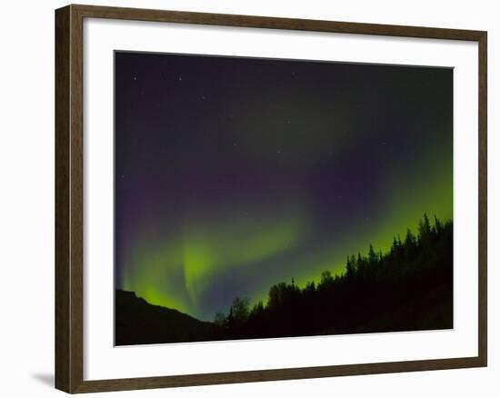 Norhtern Lights With Big Dipper, Denali National Park, Alaska, USA-Terry Eggers-Framed Photographic Print