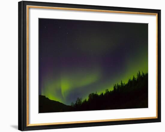 Norhtern Lights With Big Dipper, Denali National Park, Alaska, USA-Terry Eggers-Framed Photographic Print