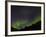 Norhtern Lights With Big Dipper, Denali National Park, Alaska, USA-Terry Eggers-Framed Photographic Print