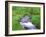 Norikura, Ichinosei, Nagano, Japan-Rob Tilley-Framed Photographic Print