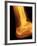 Normal Ankle Joint, X-ray-Miriam Maslo-Framed Photographic Print