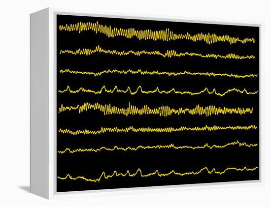 Normal EEG Read Out of the Brains Alpha Waves-Science Photo Library-Framed Premier Image Canvas