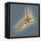 Normal Foot, 3D CT Scan-ZEPHYR-Framed Premier Image Canvas