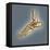 Normal Foot, 3D CT Scan-ZEPHYR-Framed Premier Image Canvas