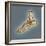 Normal Foot, 3D CT Scan-ZEPHYR-Framed Premium Photographic Print